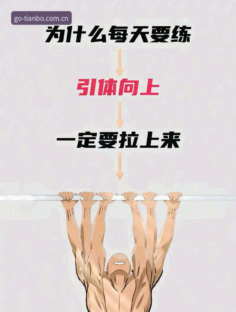 天博体育综合入门操作教程：新手如何快速上手使用